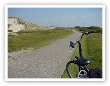 WEb D�nenweg